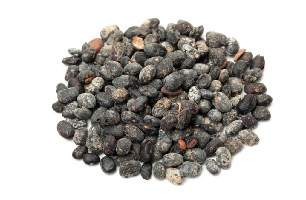 Fermented black soybeans or tochi